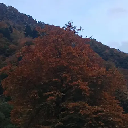 Meri Per Sempre Pontebba