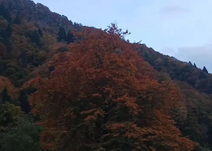 Meri Per Sempre Pontebba